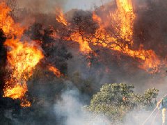 洛杉矶爆发史上最大山火，宣布进入紧急状态