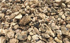 铝土矿残渣“赤泥”转化为生产性土壤的试验准